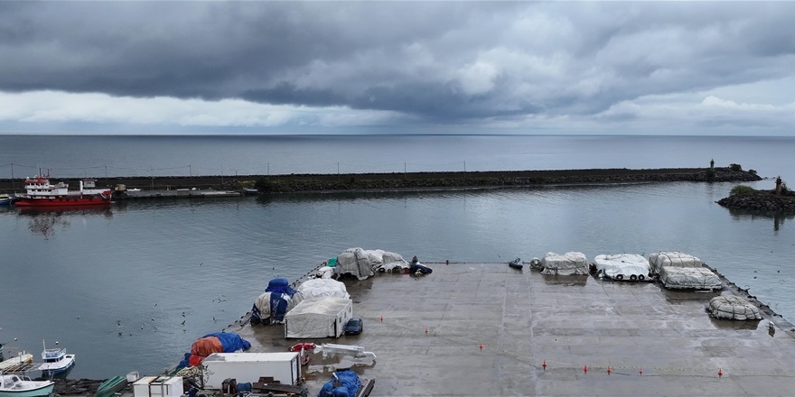 Doğu Karadeniz'in üç limanında metal kirliliği incelendi