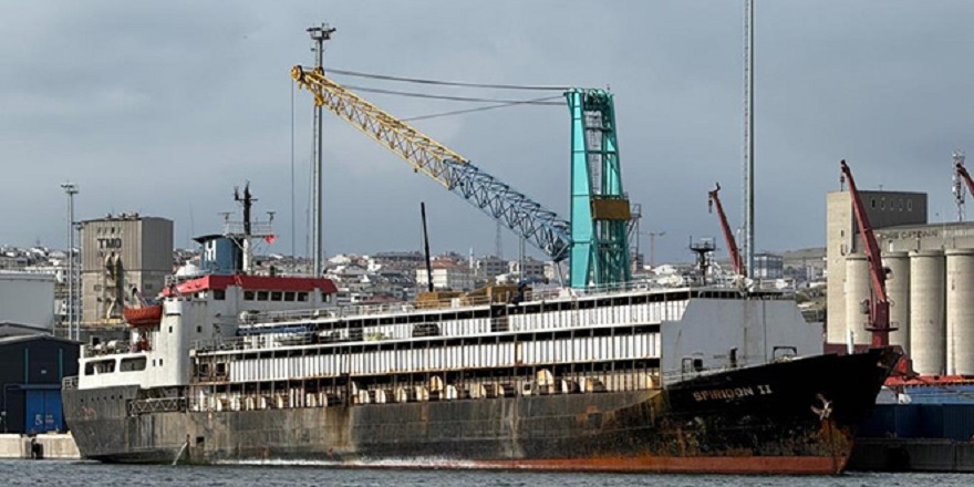 Tahliye edilemeyen ithal hayvan gemisi krizi