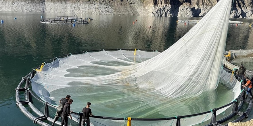 Artvin'den 67 ülkeye Türk somonu ihraç edildi