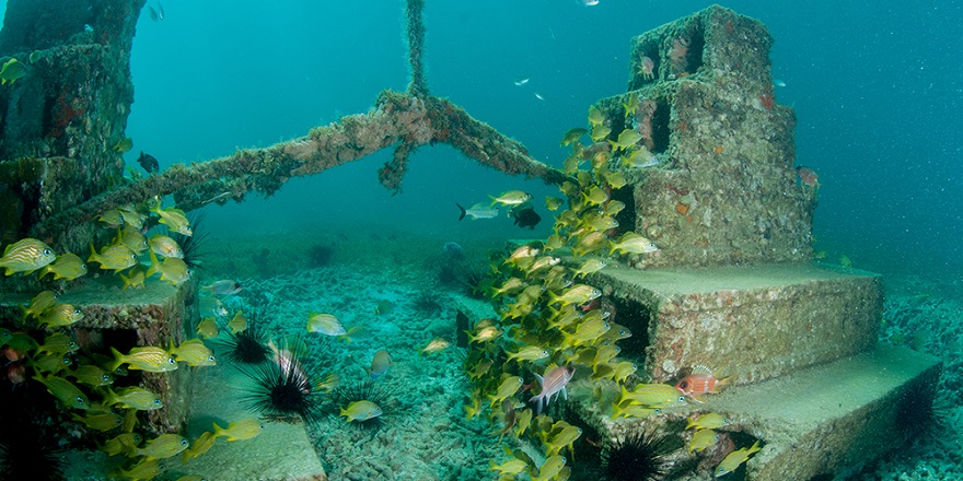 Deniz ekosistemi için "Yapay Resif Projesi"