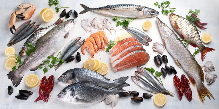 Balığın tazelik derecesini gösteren ölçüm cihazına "buluş" tescili