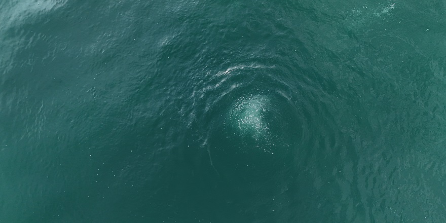 Sapanca Gölü'nde oluşan kabarcıklar görüntülendi