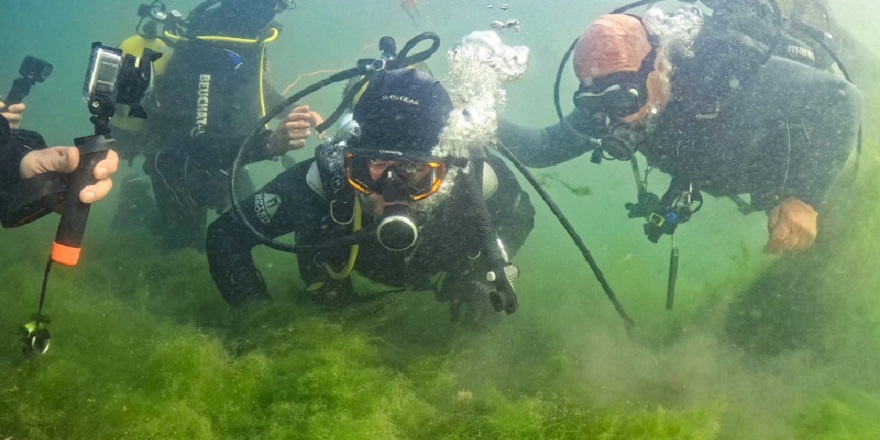 Dip çamurunun alındığı yerde yeni bir ekosistem oluşmaya başladı