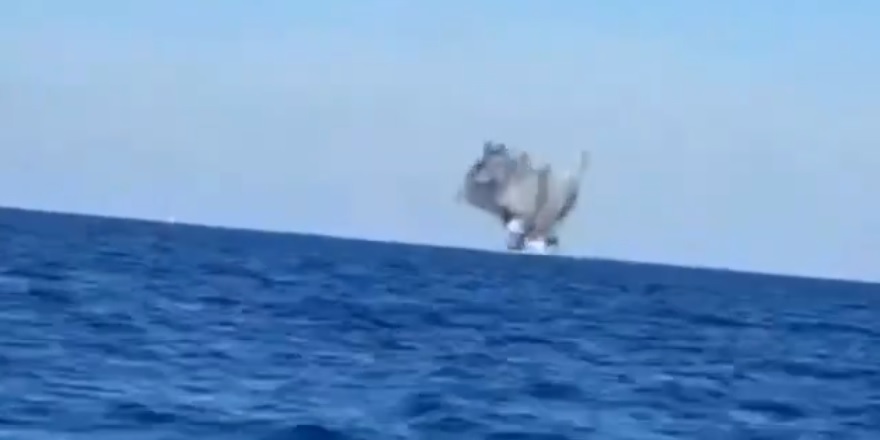 Romanya, Karadeniz'de İDA'yı etkisiz hale getirdiğini açıkladı