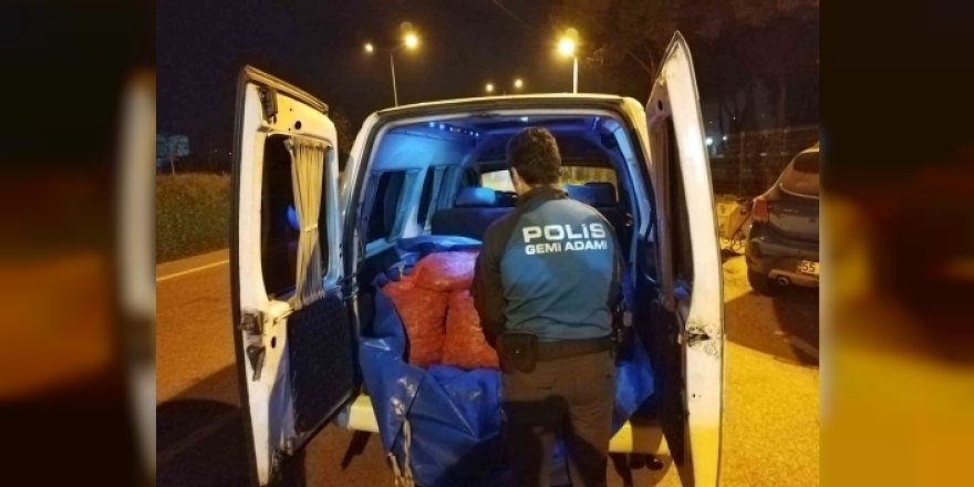 Samsun'da kaçak avlanan 300 kilogram midye ele geçirildi