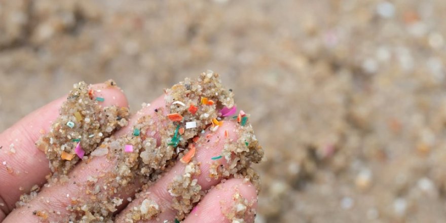 En çok mikroplastik Bozburun'da tespit edildi