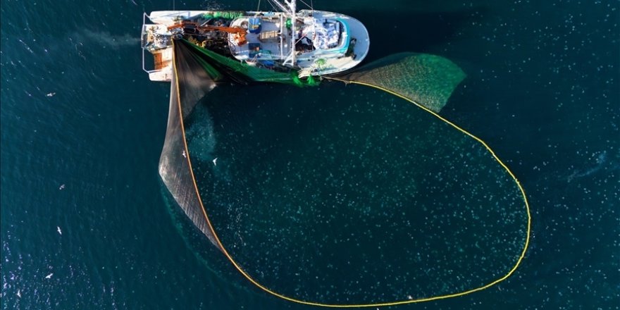 Su ürünleri avcılığı sözleşmeli üretim kapsamına alındı