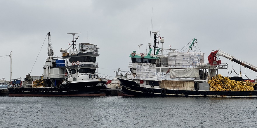 Tekirdağ'da poyraz deniz ulaşımını olumsuz etkiliyor