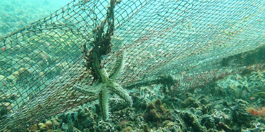 Deniz ve iç sulardan bu yıl 360 bin metrekare hayalet ağ temizlendi