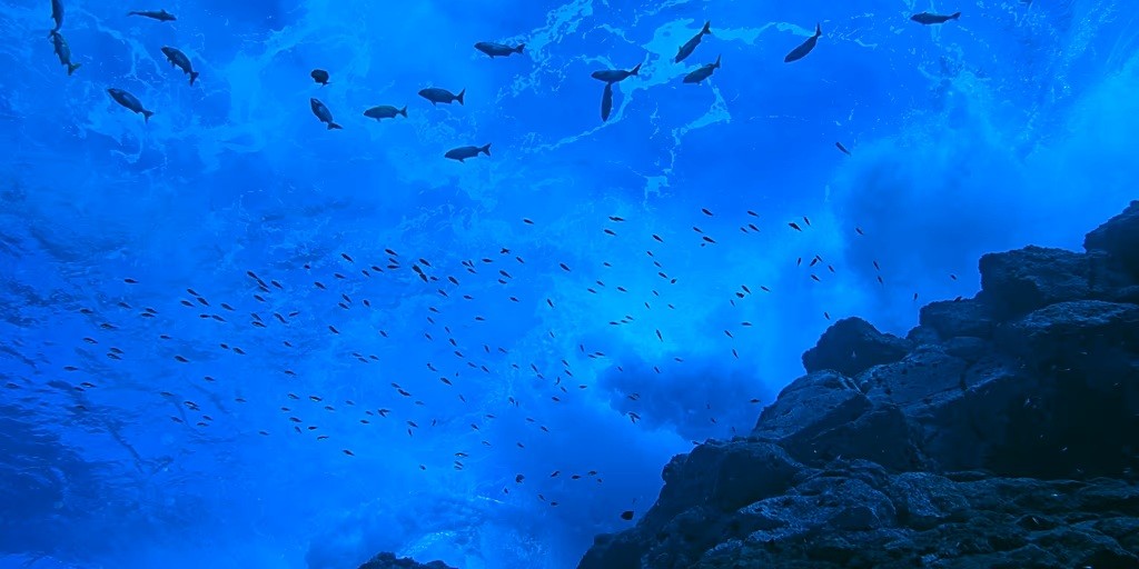 Okyanuslar için kritik eşik: 2026’da neler değişecek?