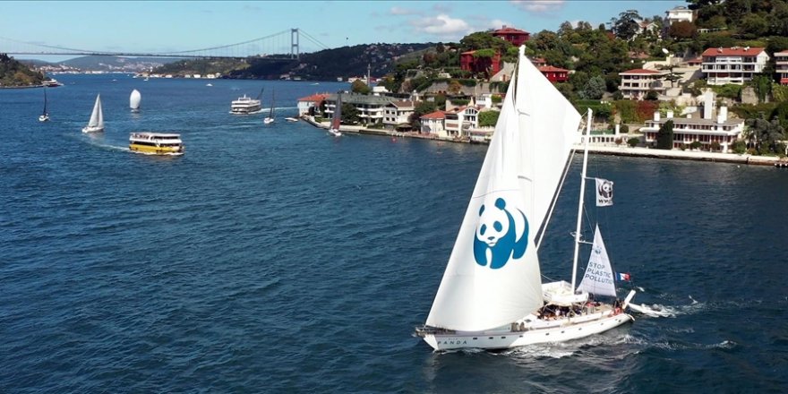 WWF-Türkiye, 2026'da Türkiye'nin iklim hedeflerine bilimsel katkı sunacak