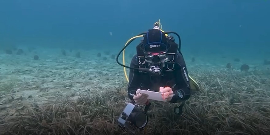 Deniz çayırları yapay zeka destekli sistemle haritalandırılıyor