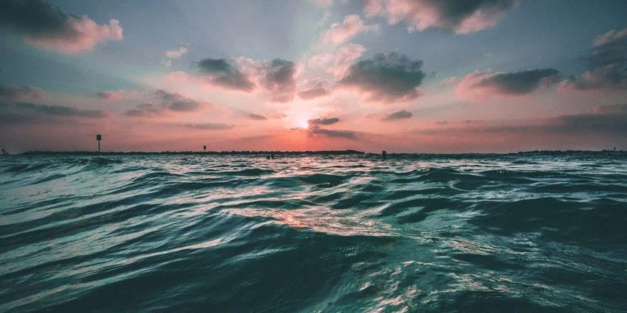 Açık Denizler Anlaşması yürürlüğe girdi: Okyanusları kurtarmaya yeter mi?