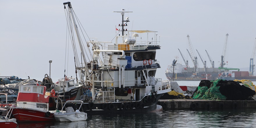 Tekirdağlı balıkçılar torik için ağ atacak