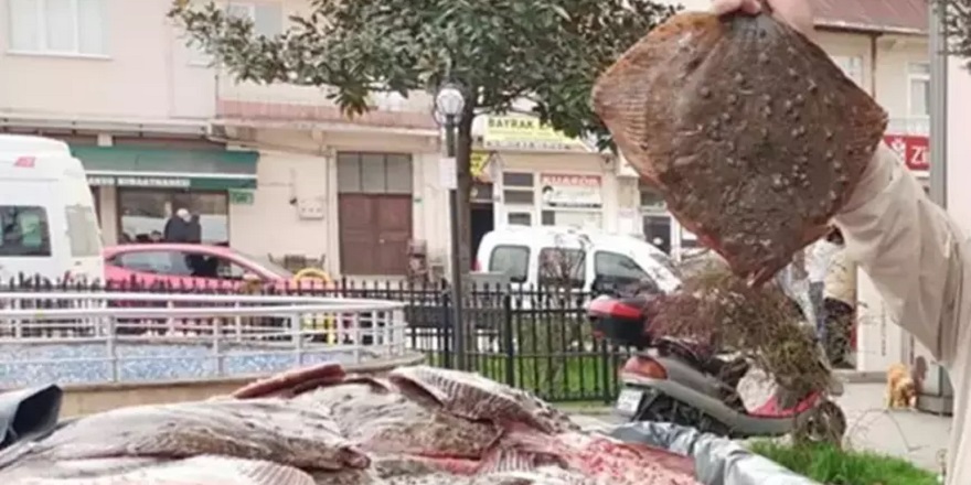 Yasa dışı avlanan 1,8 ton kalkan balığına el konuldu