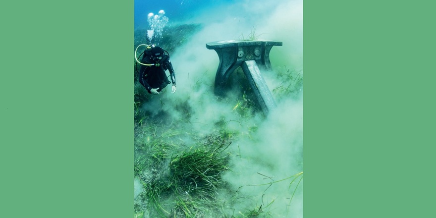 Akdeniz’de Sessiz Yıkım: 50 Bin Hektar Riskte