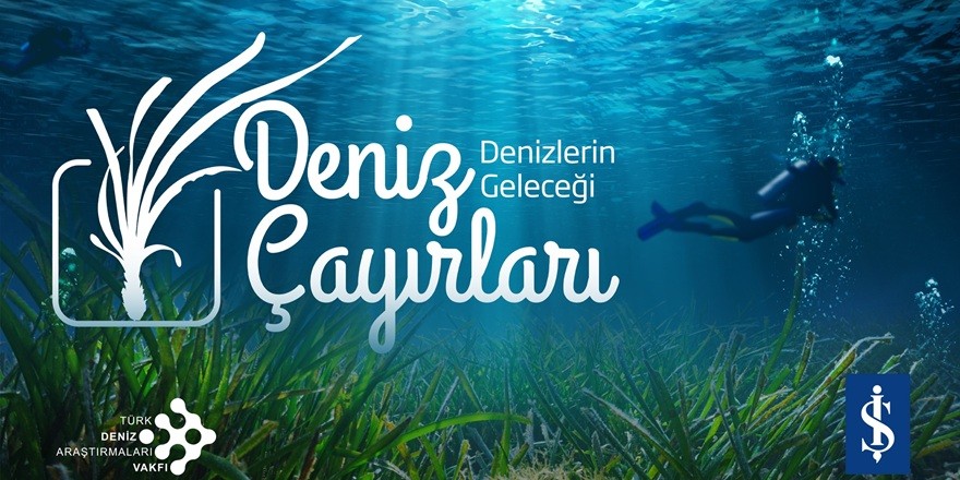 Denizlerin Akciğerleri Türkiye’de Tehlikede