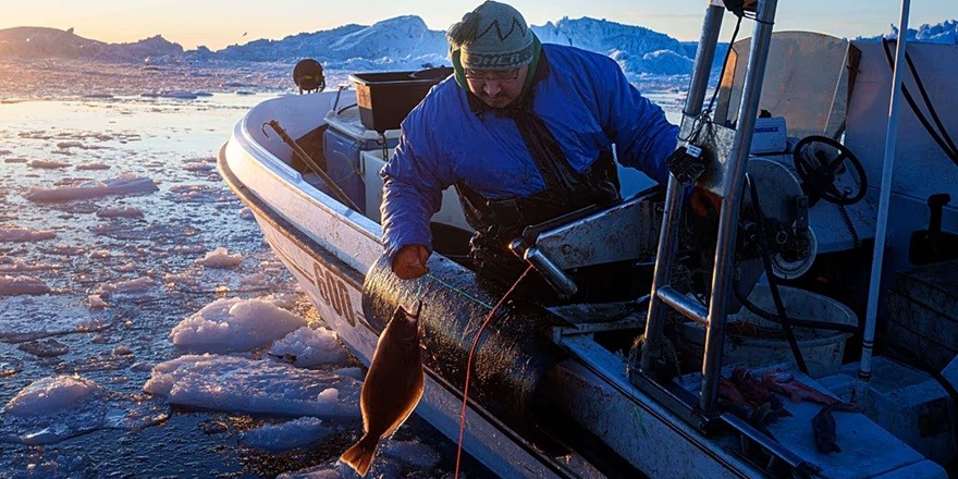 Grönland’da İklim Değişimi Balıkçılık Modelini Dönüştürüyor