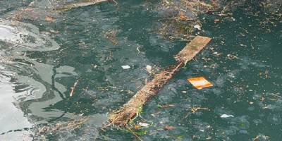 Yağış Sonrası Beşiktaş Sahili'nde Kirlilik Oluştu