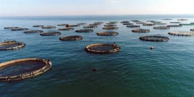 Depremden etkilenen balıkçılar ve su ürünleri yetiştiricileri desteklenecek