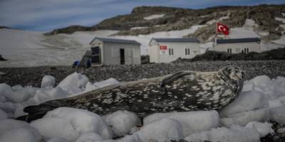 Kutup Yarışında Yeni Adım: Türk Bilim Üssü Geliyor
