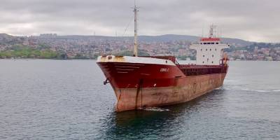 Arızalanan kargo gemisi Beykoz açıklarına demirlendi