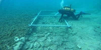 Akdeniz'de kayıp medeniyete ait 7 bin yıllık yol bulundu