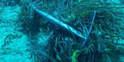 Akdeniz’in Deniz Çayırları Çapa ve Sıcaklık Tehdidi Altında