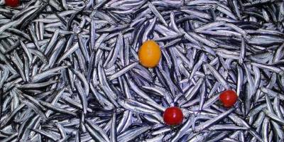 Türkiye'den 20 ülkeye yaklaşık 3,9 milyon dolarlık hamsi ihraç edildi