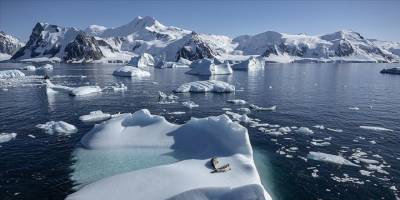 "Dünyanın ısınmasını 1,5 derece ile sınırlamak ölüm kalım meselesidir"