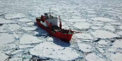 Arktik rotasına işgal freni