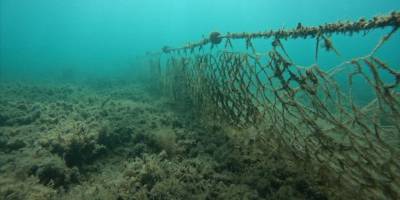 Balıkesir'de 3 yılda denizlerden 50 bin metrekare "hayalet ağ" toplandı