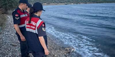 Muğla'da yaralı bulunan deniz kaplumbağası tedaviye alındı