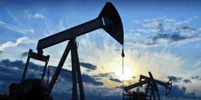 'Dünyanın petrol talebi beş yıl içinde keskin bir şekilde düşecek'