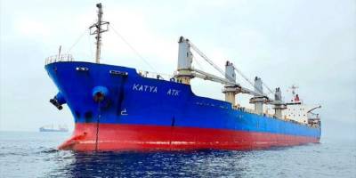 Türk bayraklı gemideki kaçak yolcu ölü olarak bulundu