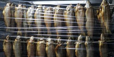 Tütsülenen alabalıklar daha fazla kazandırıyor