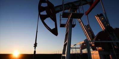 OPEC'in petrol üretimi haziranda 91 bin varil arttı