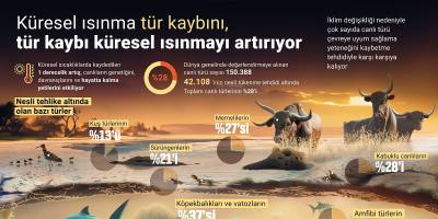 Küresel ısınma tür kaybını, tür kaybı küresel ısınmayı artırıyor