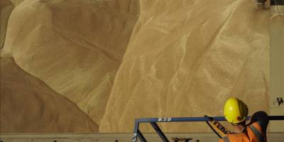 Küresel tahıl fiyatları yüzde 15'e kadar yükselebilir