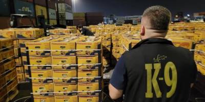 Mersin Limanı’nda muz konteynerinde kokain ele geçirildi