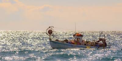 Balıkçılık tehlikede: Deniz suyu sıcaklıkları son 53 yılın zirvesinde