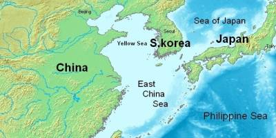 Sarı Deniz kıyısında "tanımlanamayan uçan nesne" tespit edildi