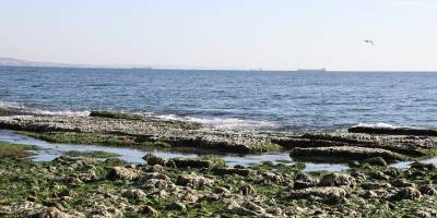 Tekirdağ'da kıyılarda deniz suyu çekilmesinin sebebi açıklandı