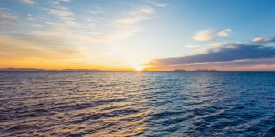 Deniz suyu sıcaklıklarında artış zararlı bakterilerin oluşumunu tetikliyor