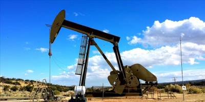 "Petrol sektörü 2023'te önemli sıkıntılar yaşayabilir"