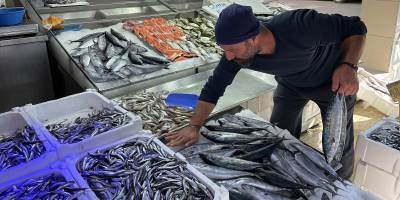 Sinop'ta balıkçı tezgahları hamsi ve palamutla doldu