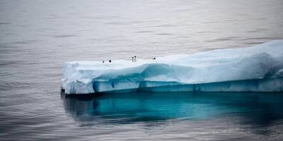 'Kıyamet Günü Buzulu' erimeye başladı