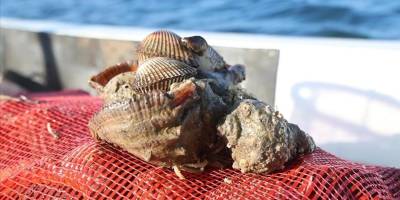 Kaçak avlanan tekne sahibine, 66 bin 114 lira idari para cezası verildi