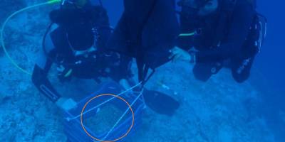 3 bin 600 yıllık batıkta 25 kiloluk 30 bakır külçe çıkarıldı