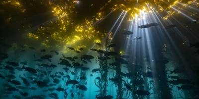 Yerkabuğunun altında devasa büyüklükte bir 'okyanus' keşfedildi